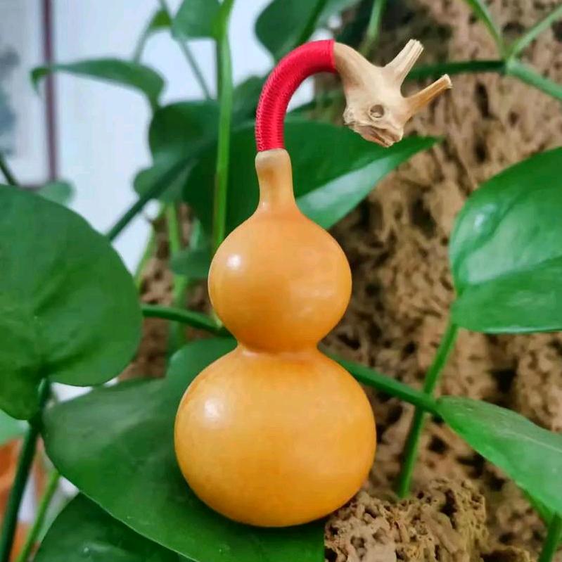晓葫芦