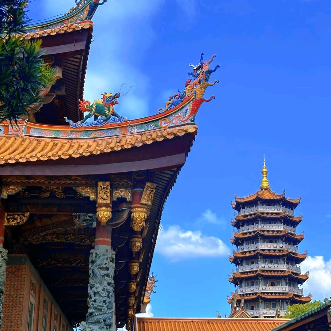 学习进步1️⃣