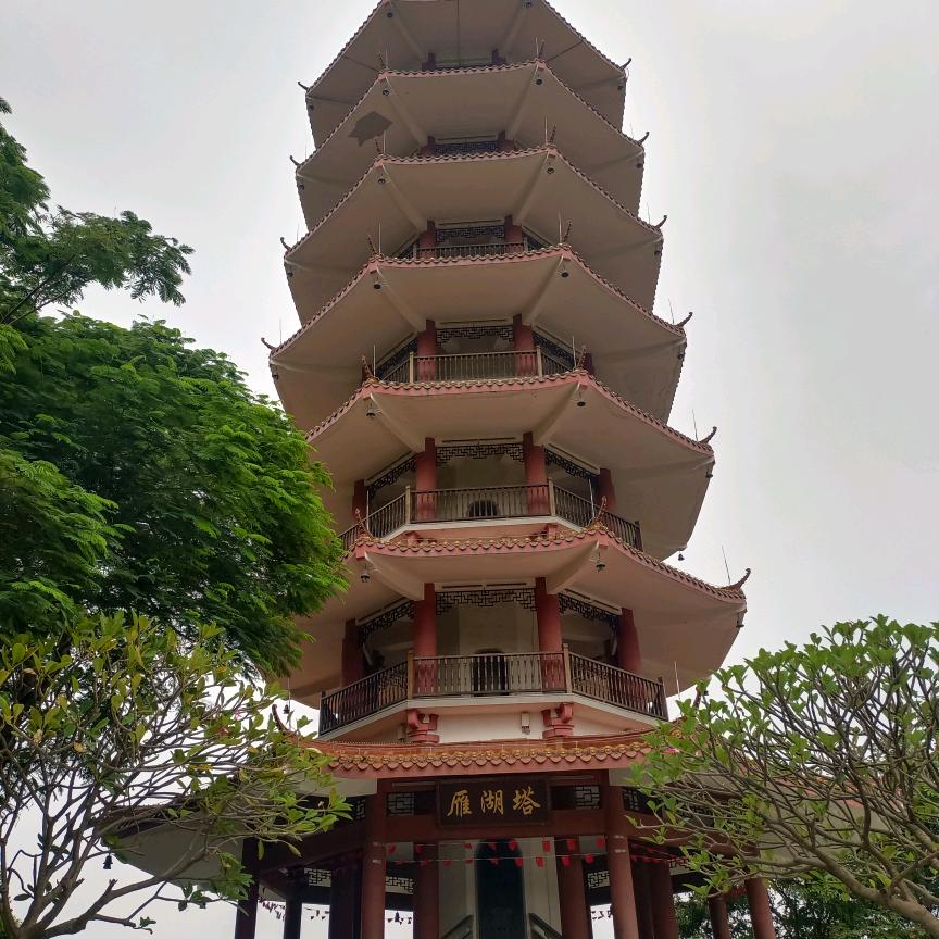 补心石