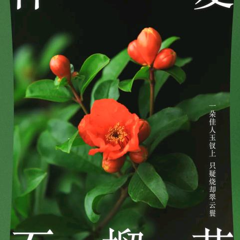 农村人