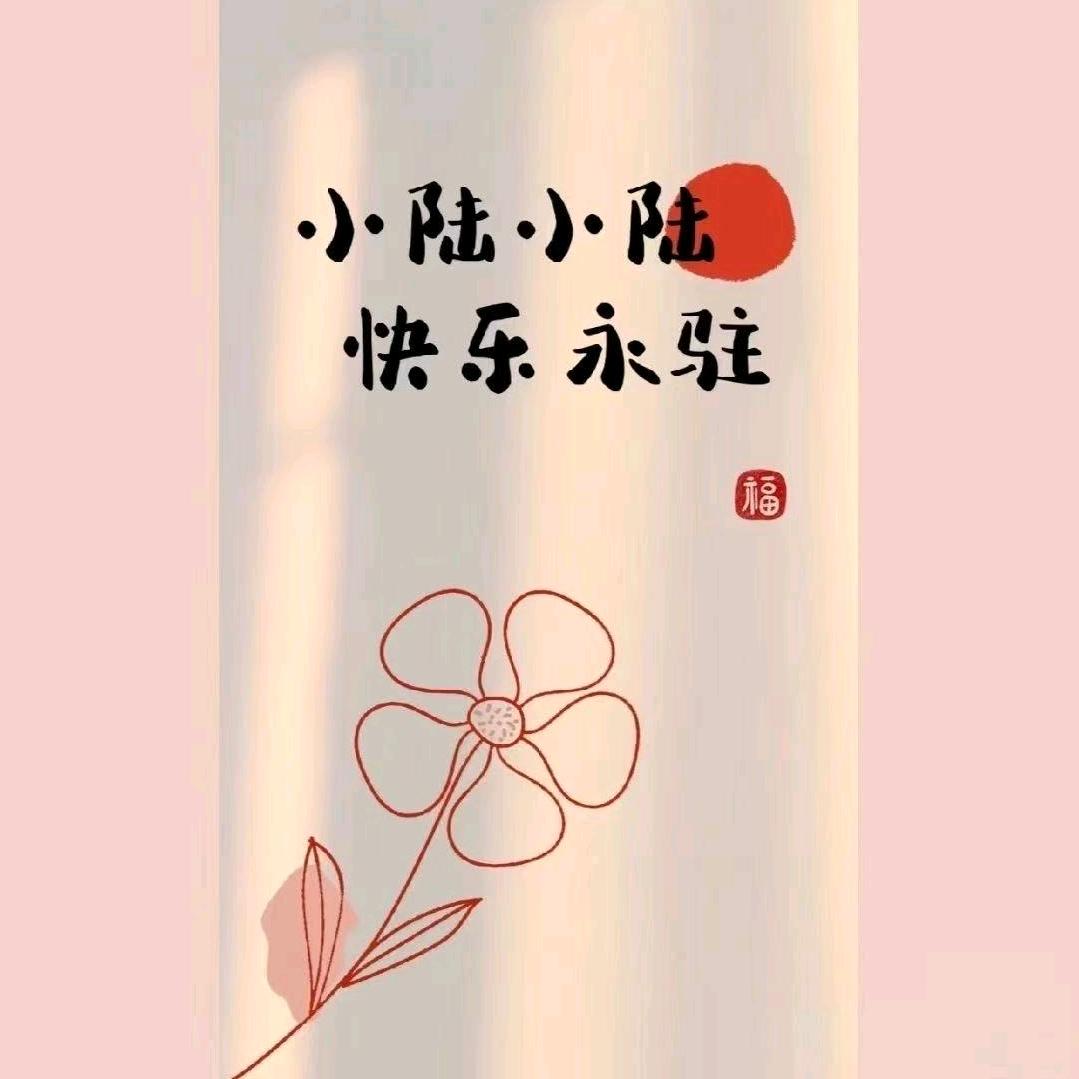 小陆小陆