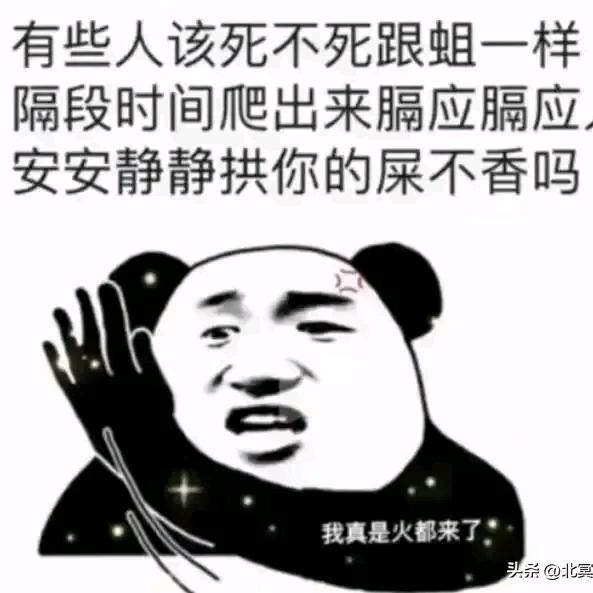 懂王驾到