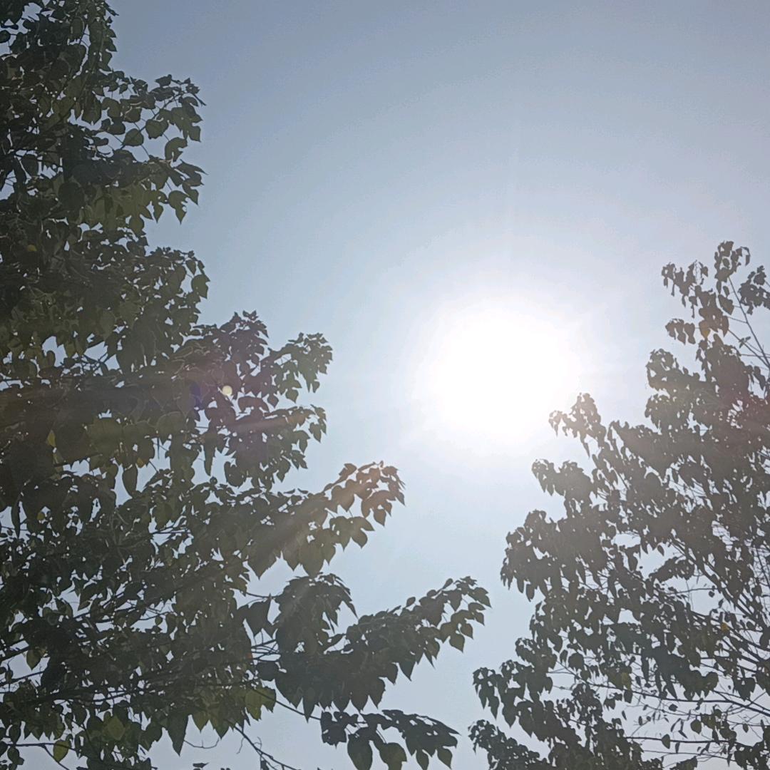 乡村文化推荐官