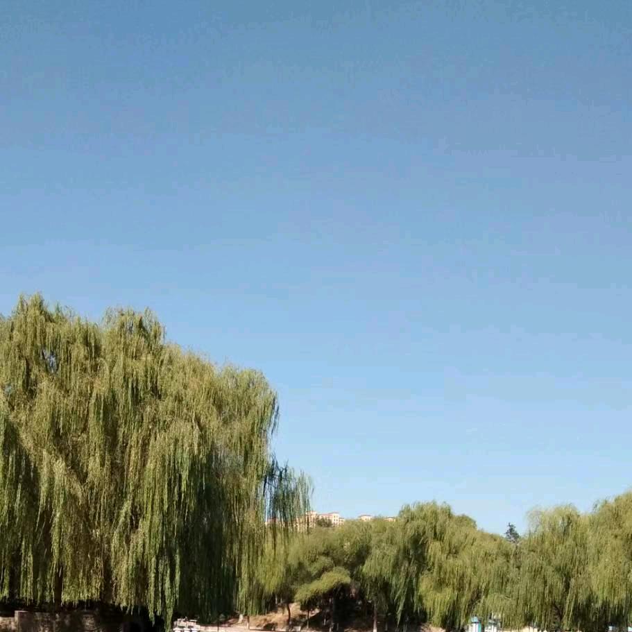 幸福浪花网友