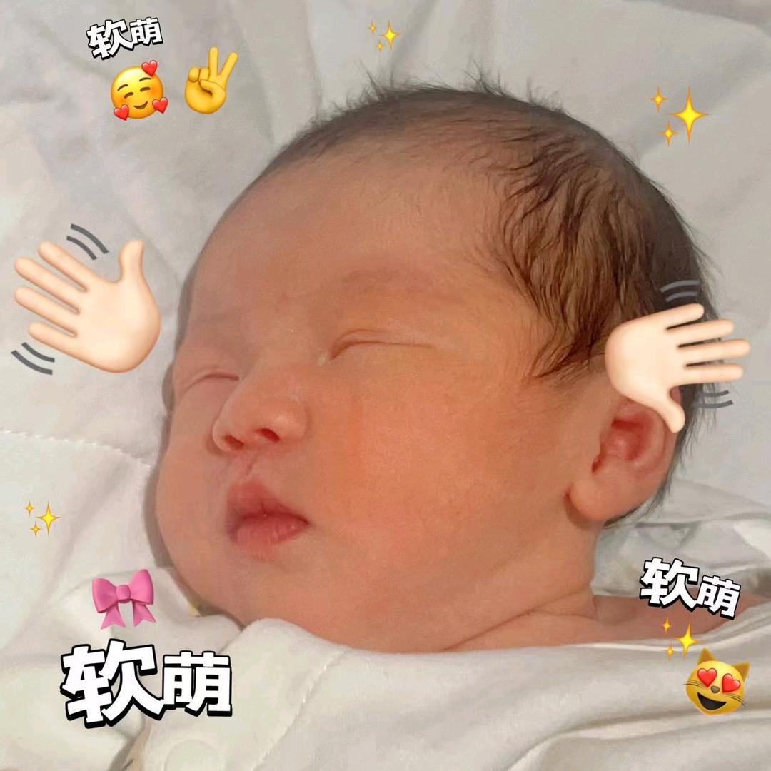 是小葵呀🌻