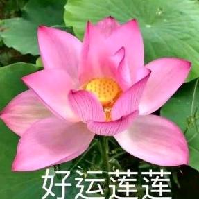 邓姐《百货》