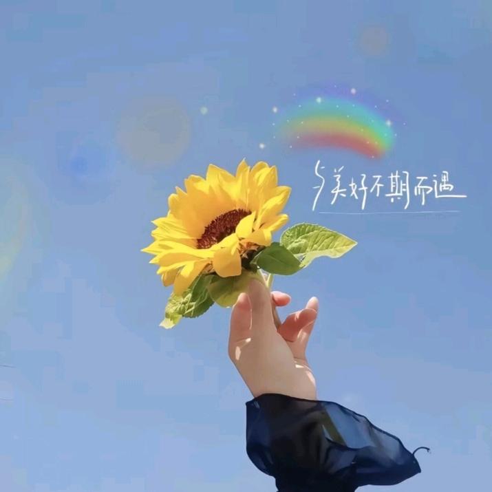 风生水起🌃🎇