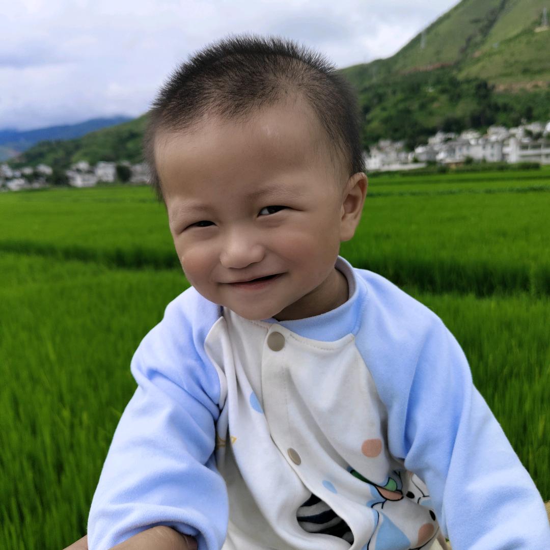 落日下晚风