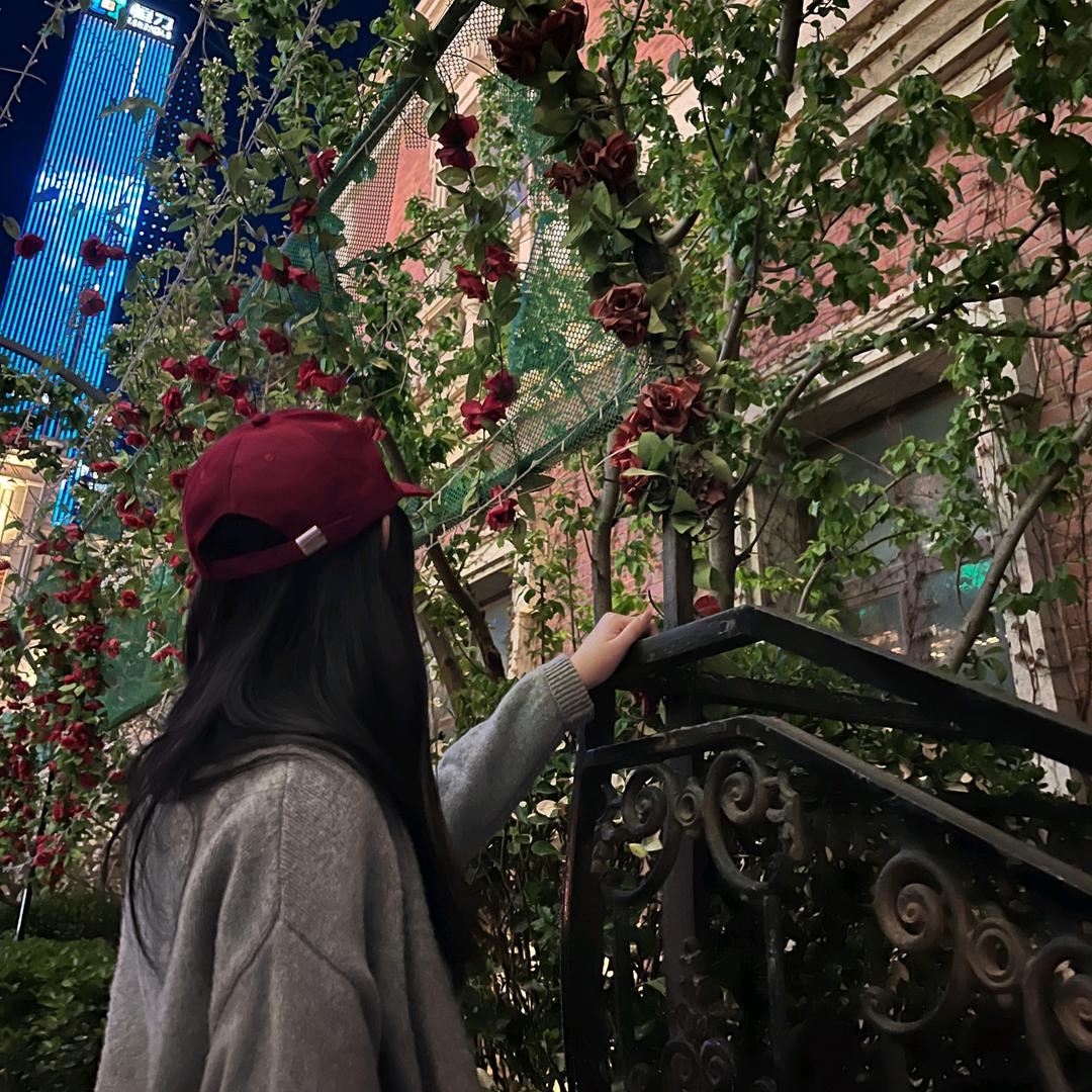 只喜欢看vlog