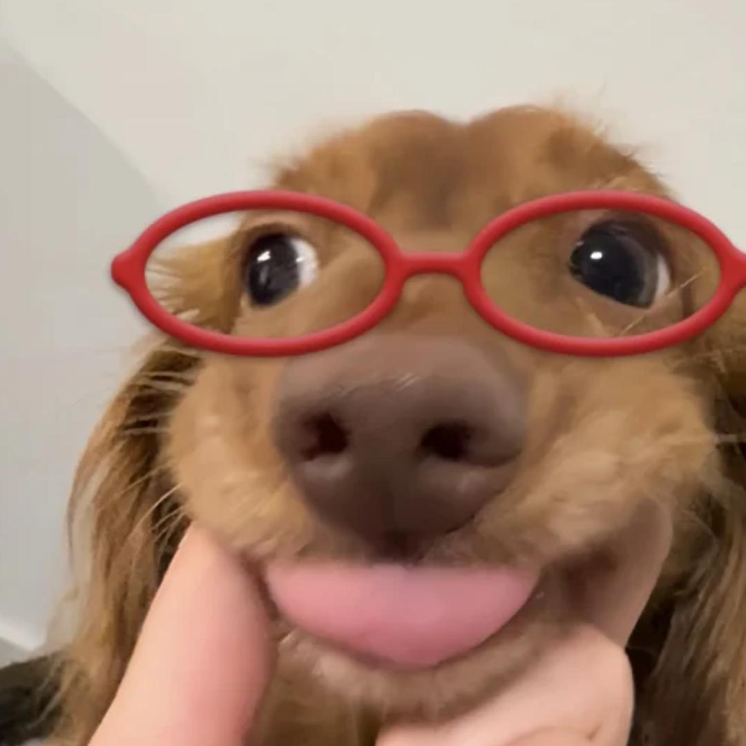 任好运