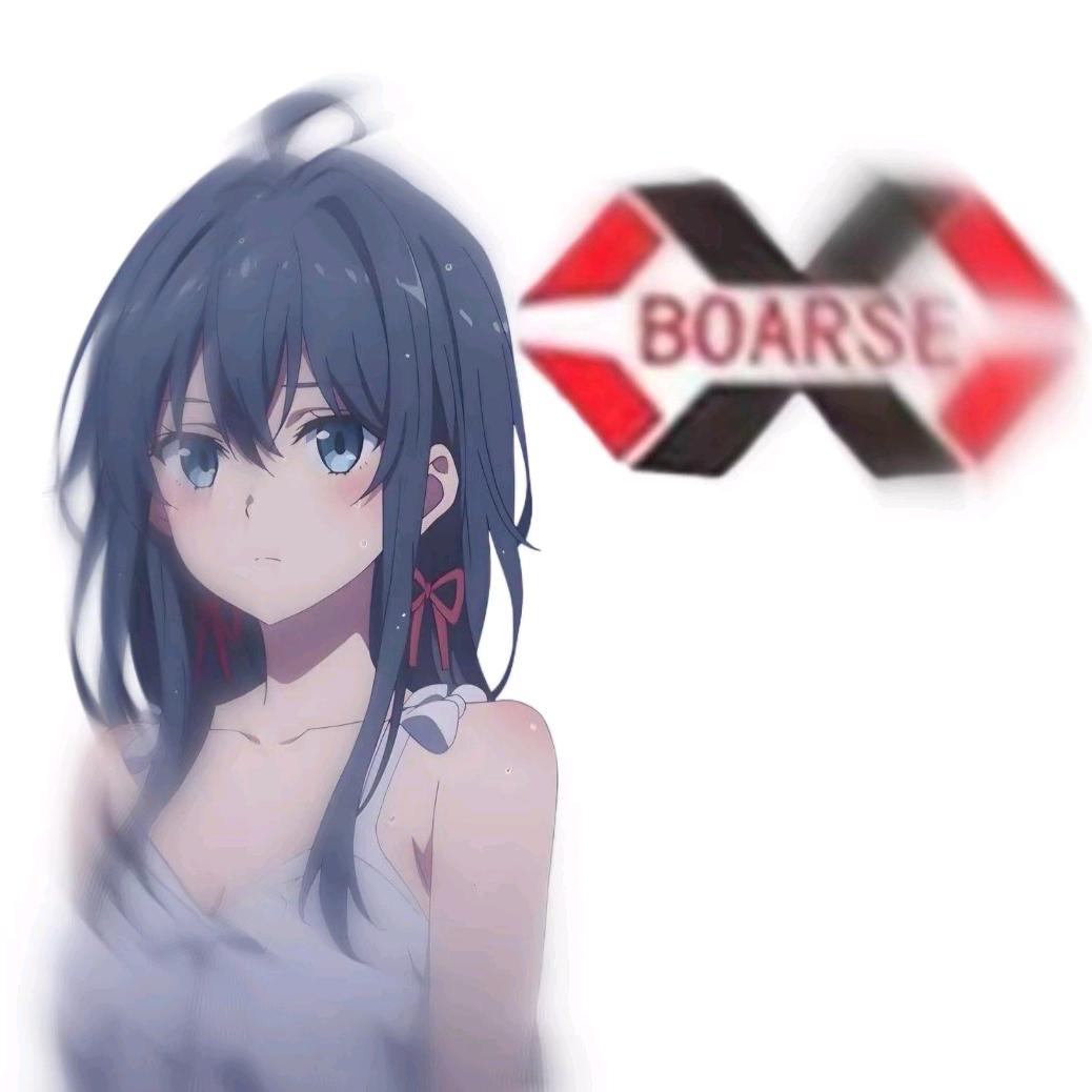 BOARSE-陈