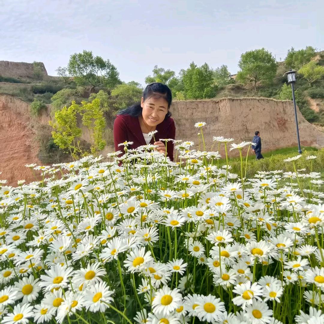 ♥╭(╯余生安好ε╰)╮♥