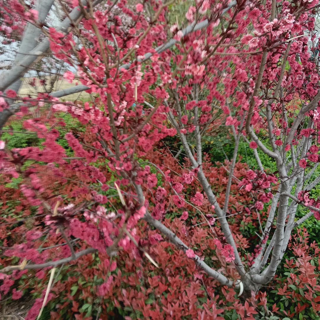 佛缘闫姐