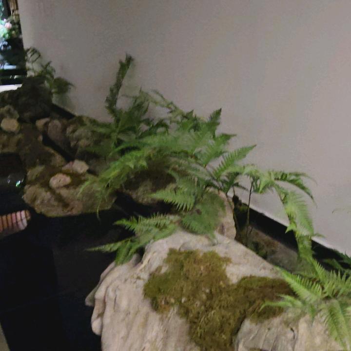 只要我有，只要你要，我会尽我所能拼近所有