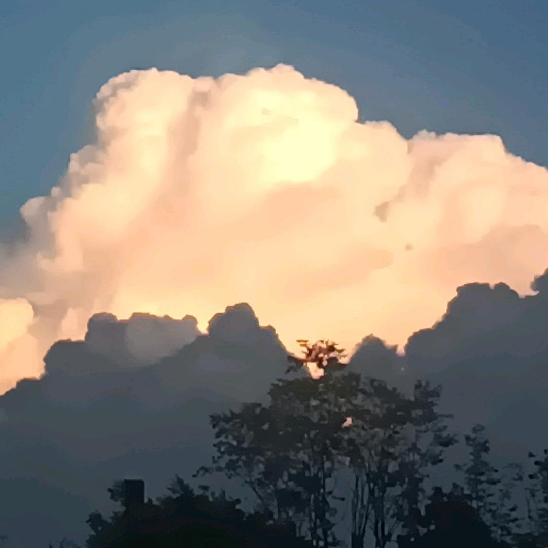 黔西特产优选记