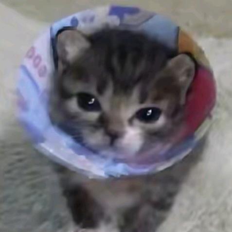 鬼亡啾咪～