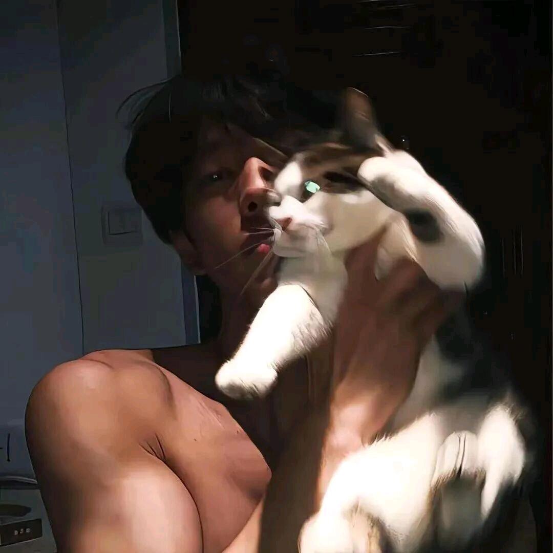 六便士🌙