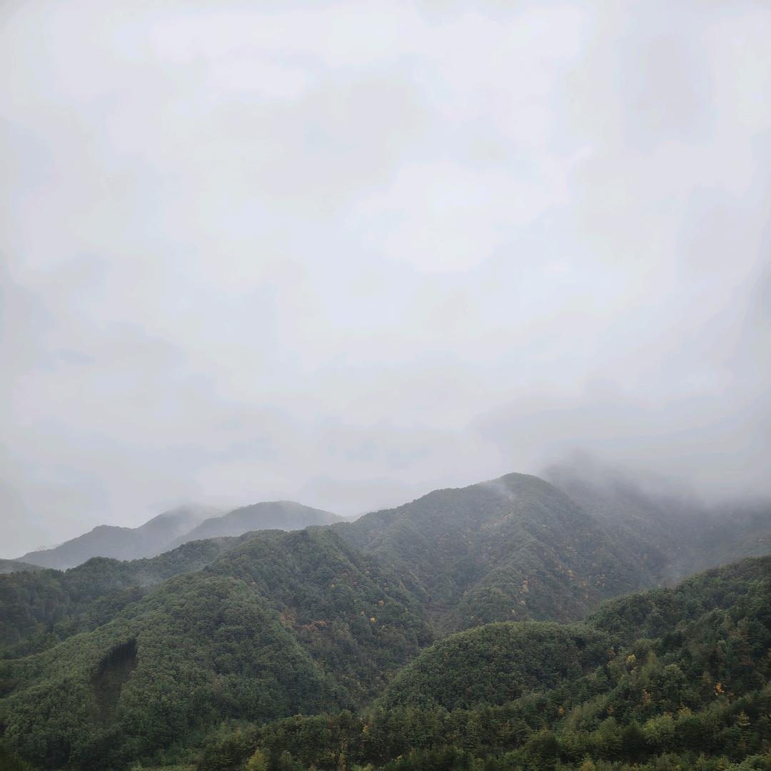 稀饭蒸馍加咸菜