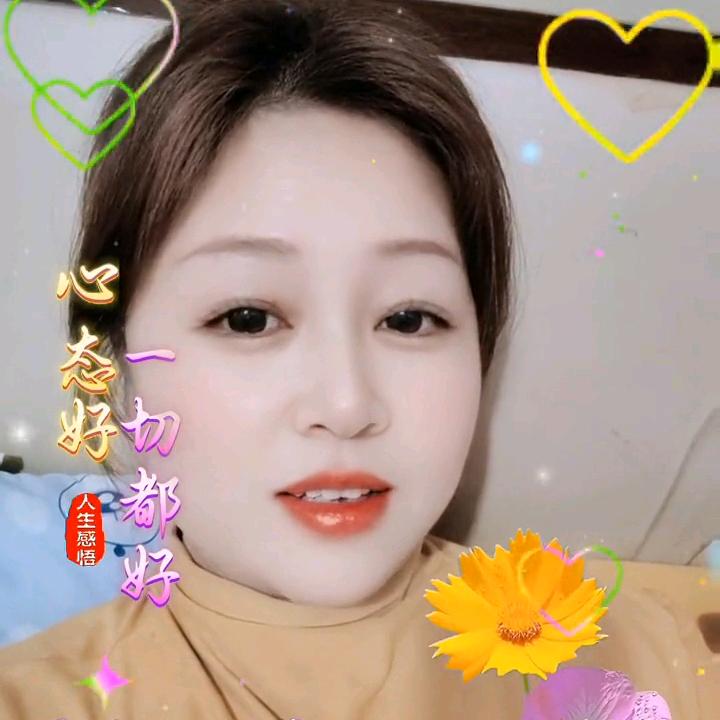 韩菲