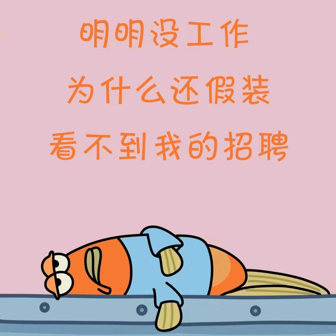有厂招工