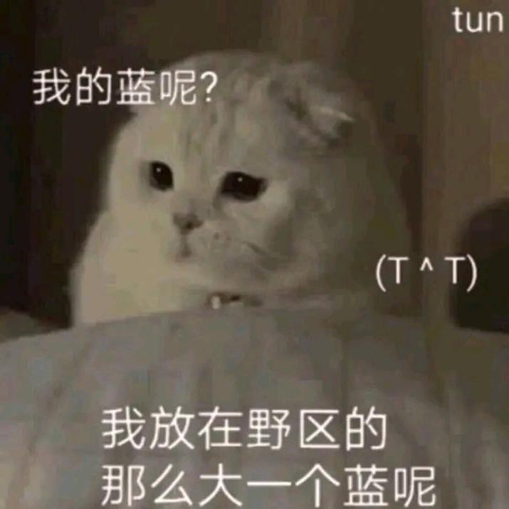 余稳稳