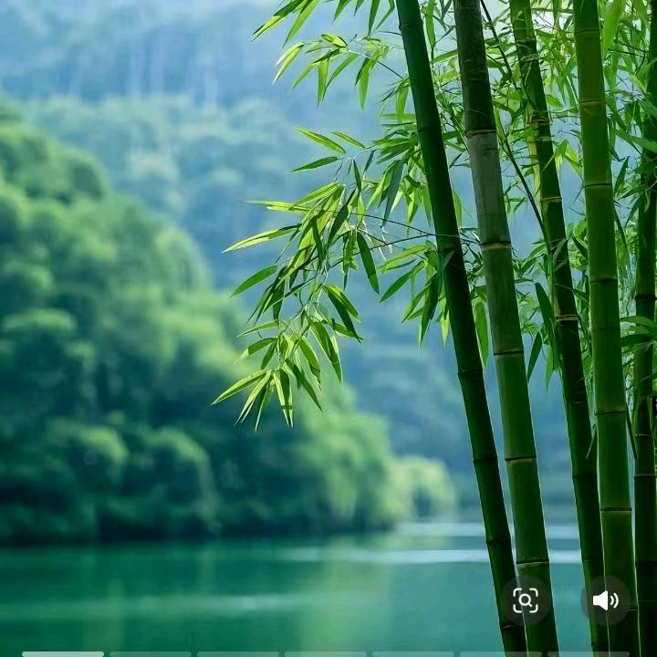 影香