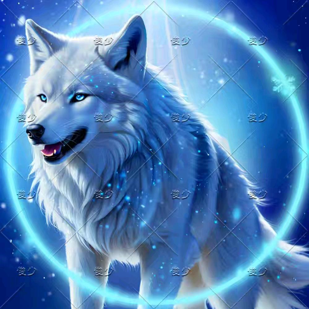 ͏͏ ͏͏  ॢꦿ᭄ﻬଓ俊少ৡৢ