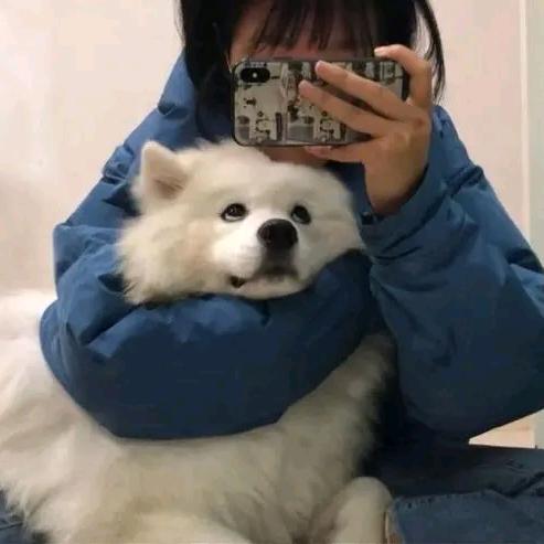 早上中午晚上都好