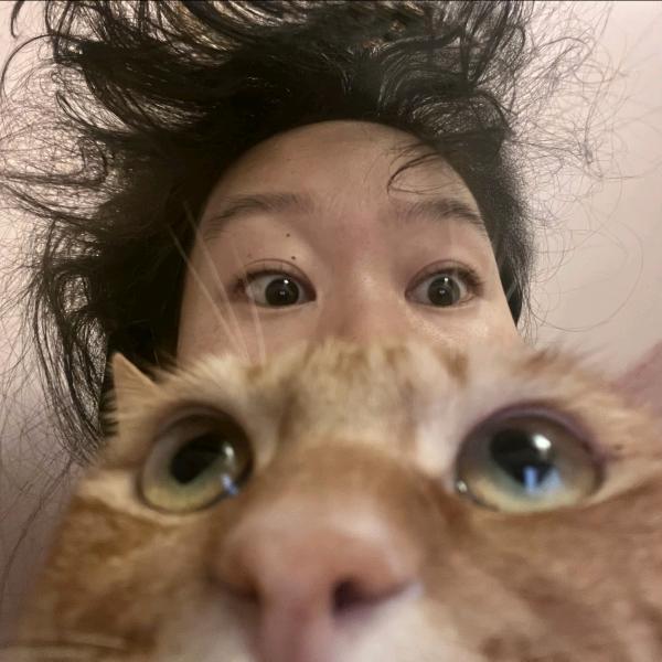 懒洋洋芝士