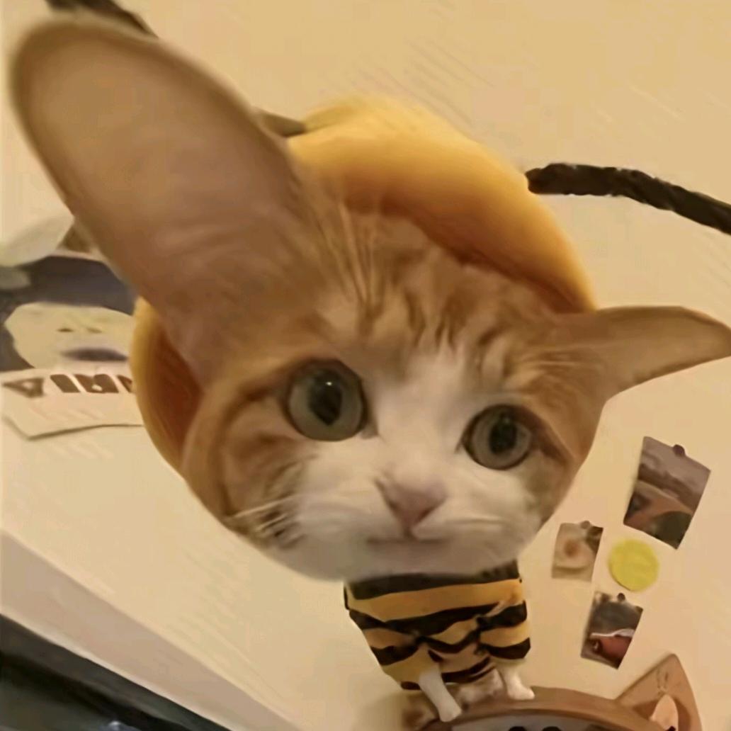 感谢吃饭的那条狗送来的一个热气球