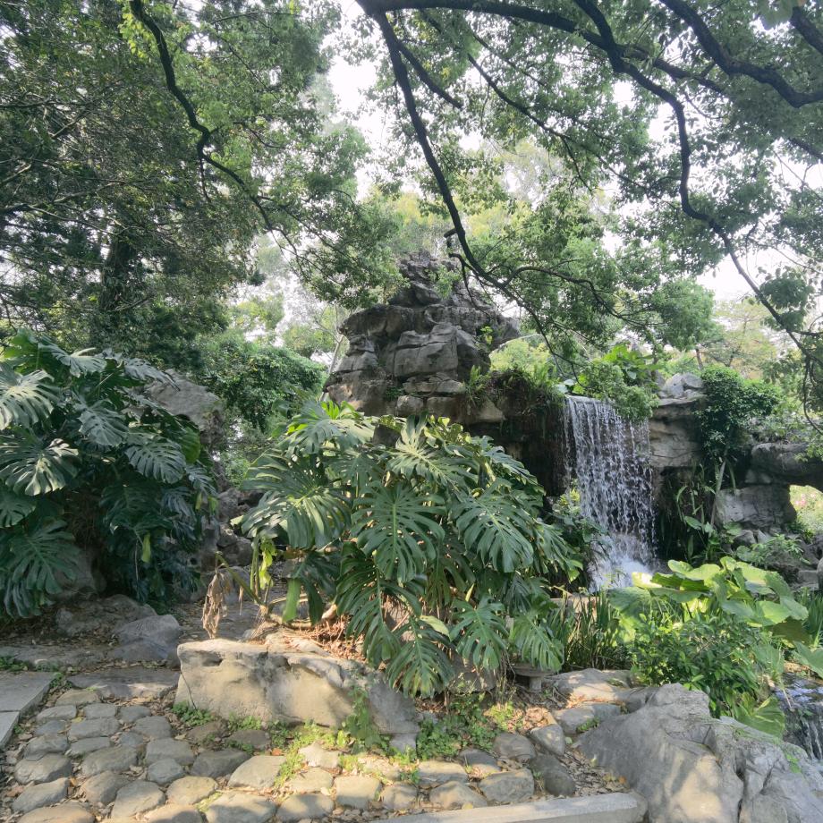 迷路的松鼠