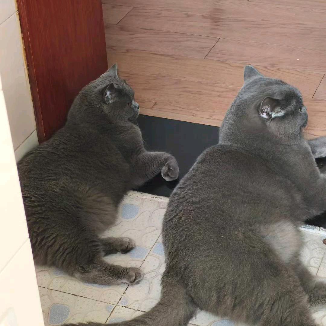 💋 ⁵²¹   小白白。