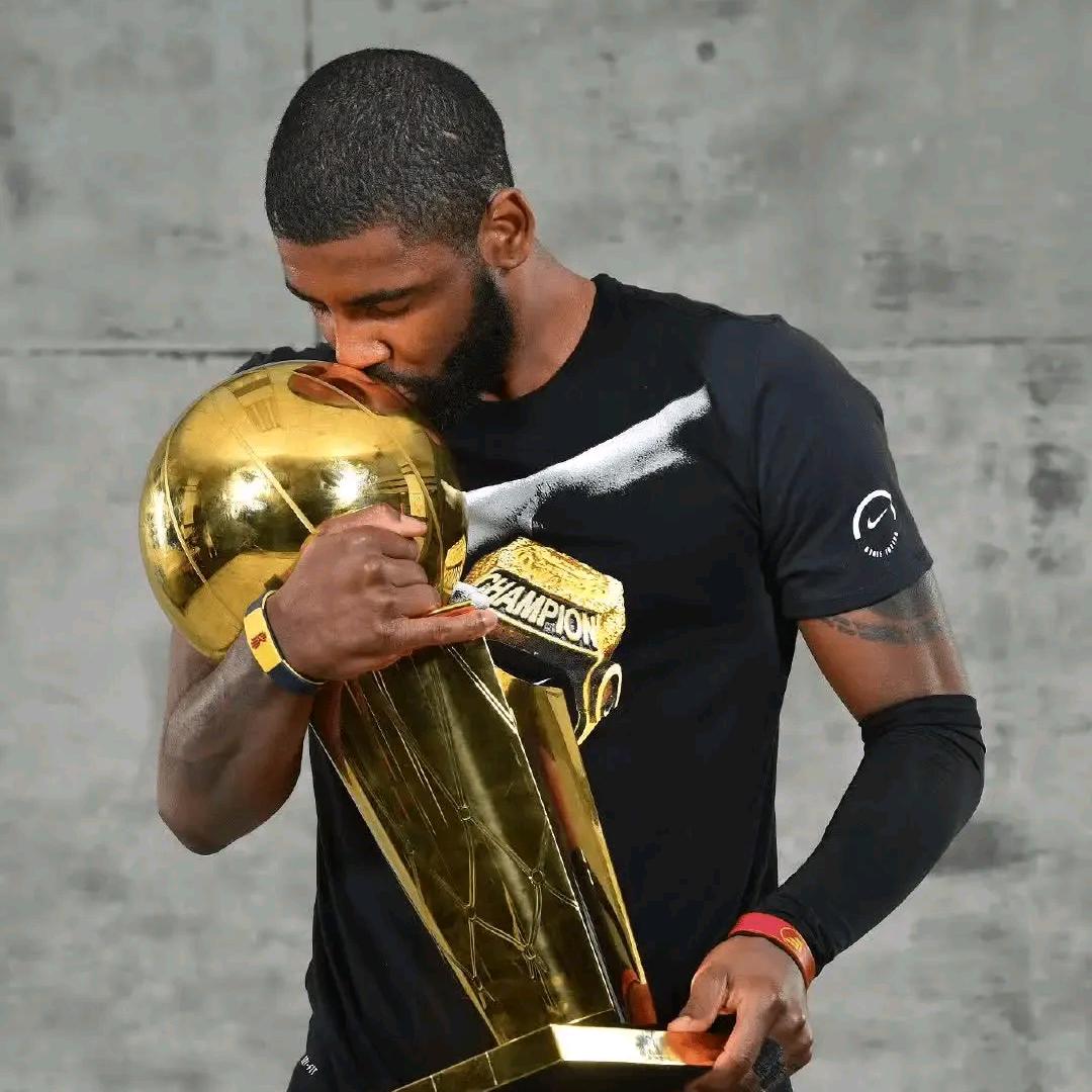 心灵牛油果🤞🥑