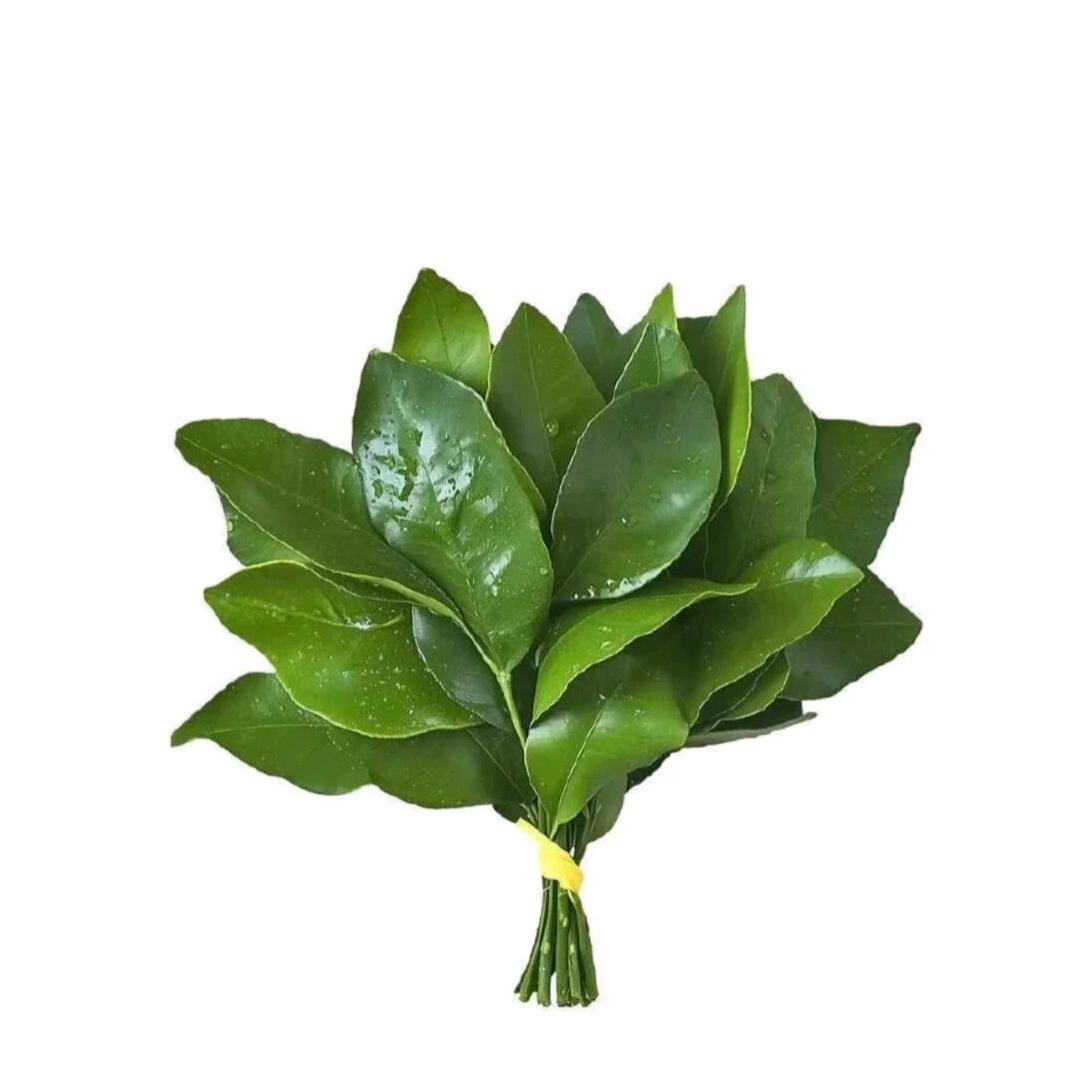 絶情