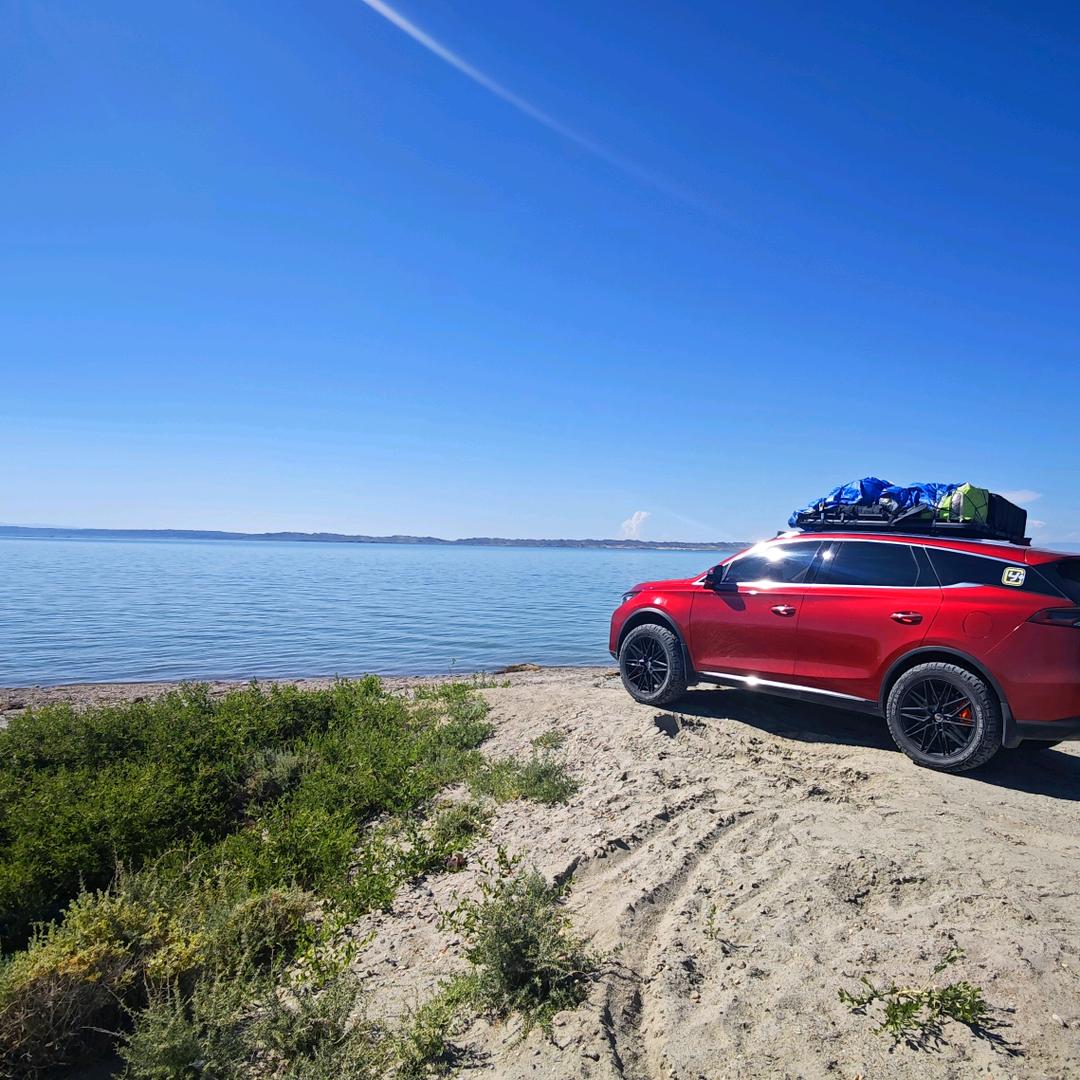 多年以后。       🐬