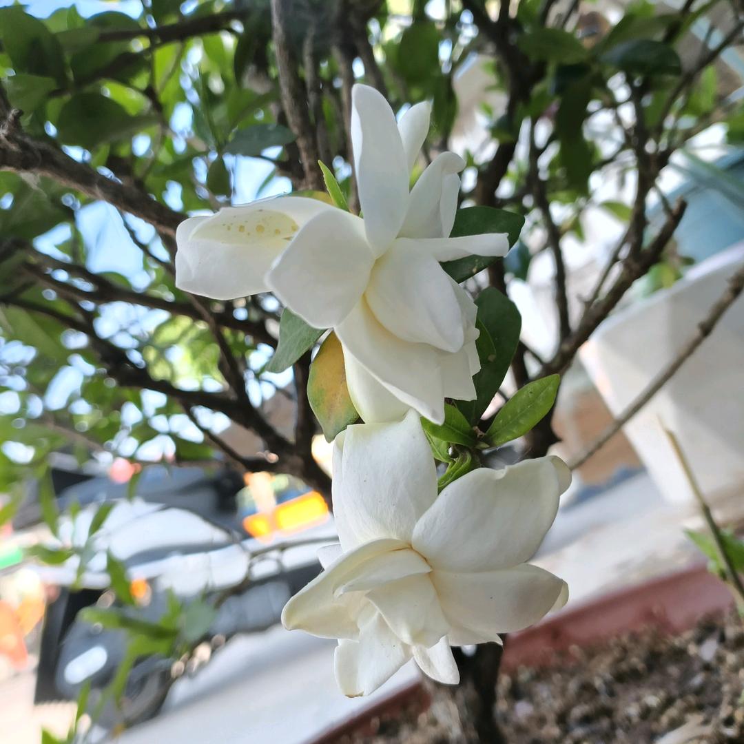 岁月静好@