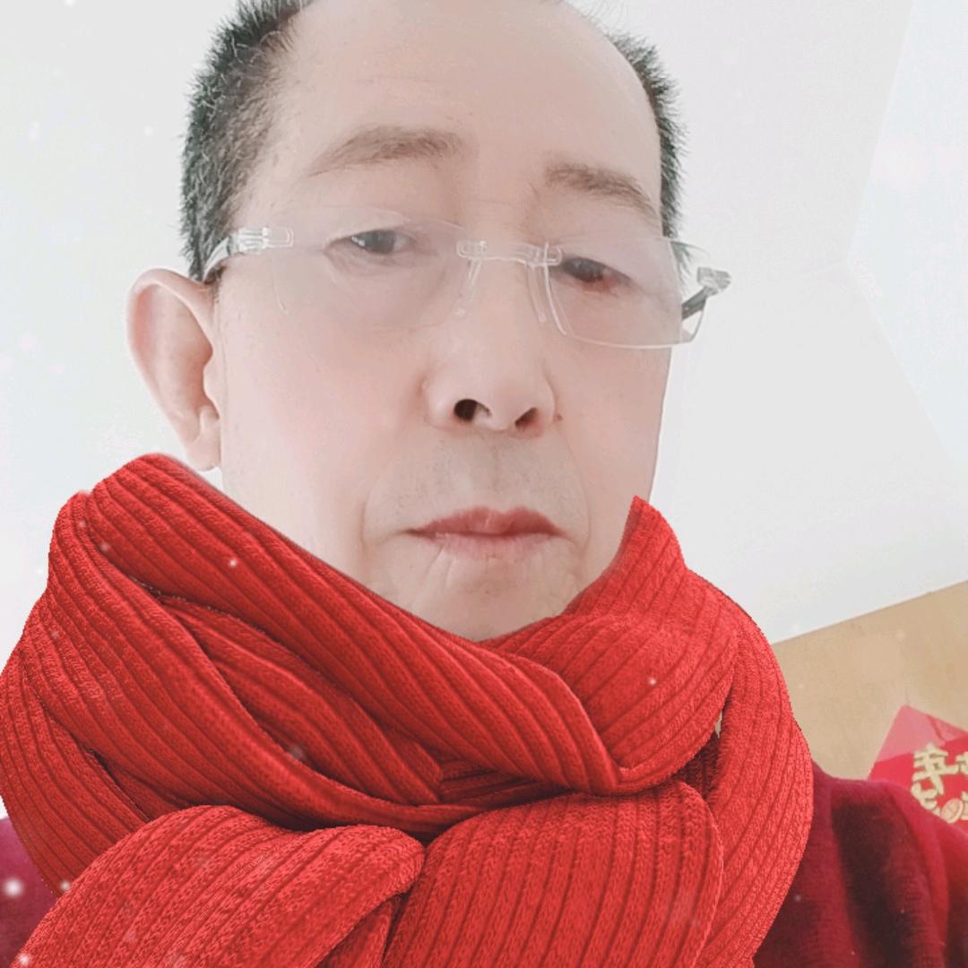 金朝贤