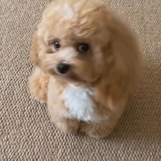 执子之手，与子偕老，宏阳配送商行