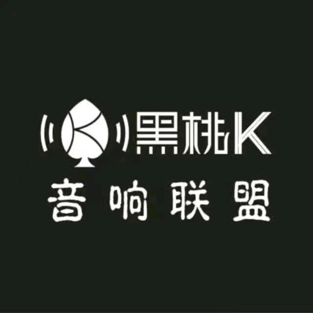 黑桃K新能源汽车音响升级中心