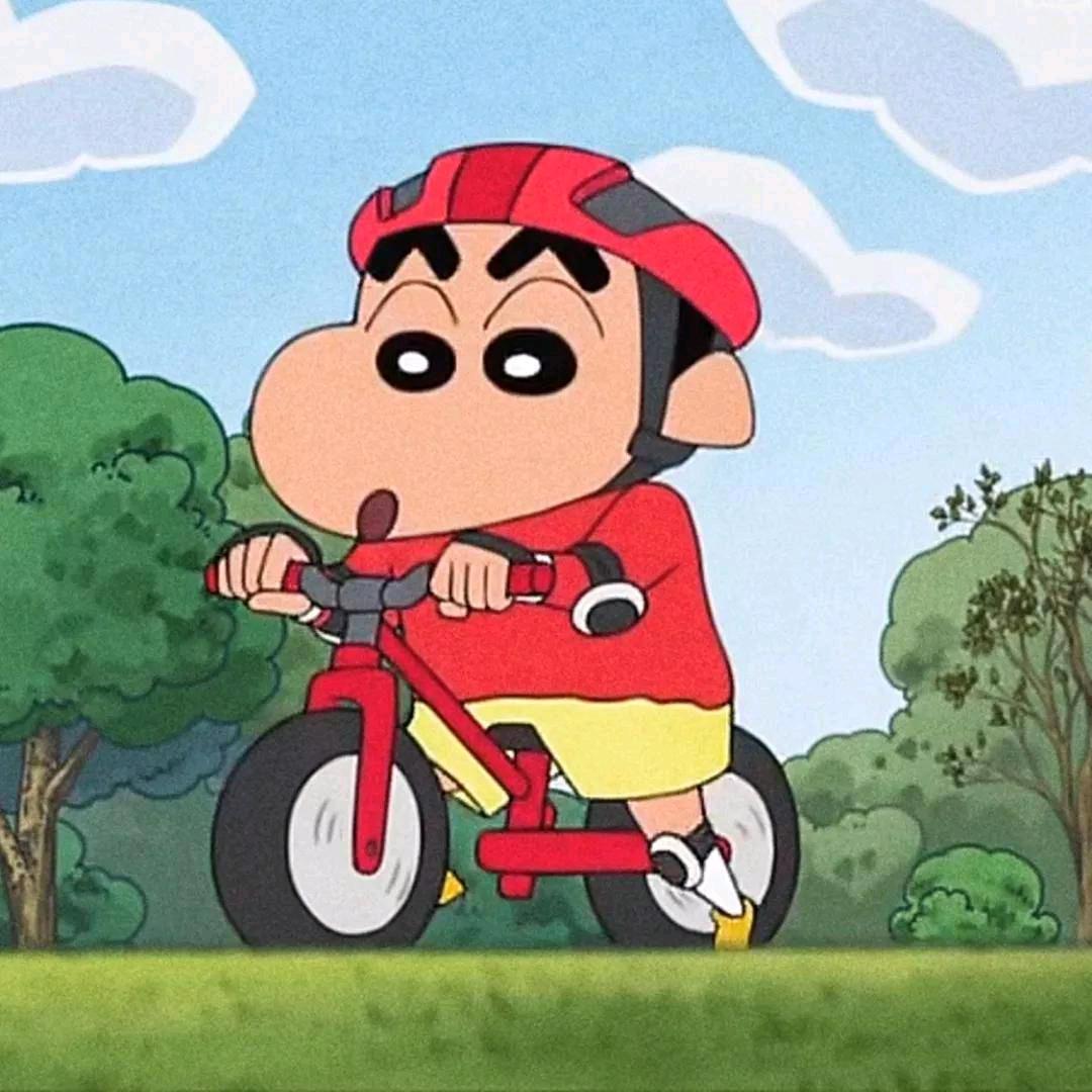 大双宝贝