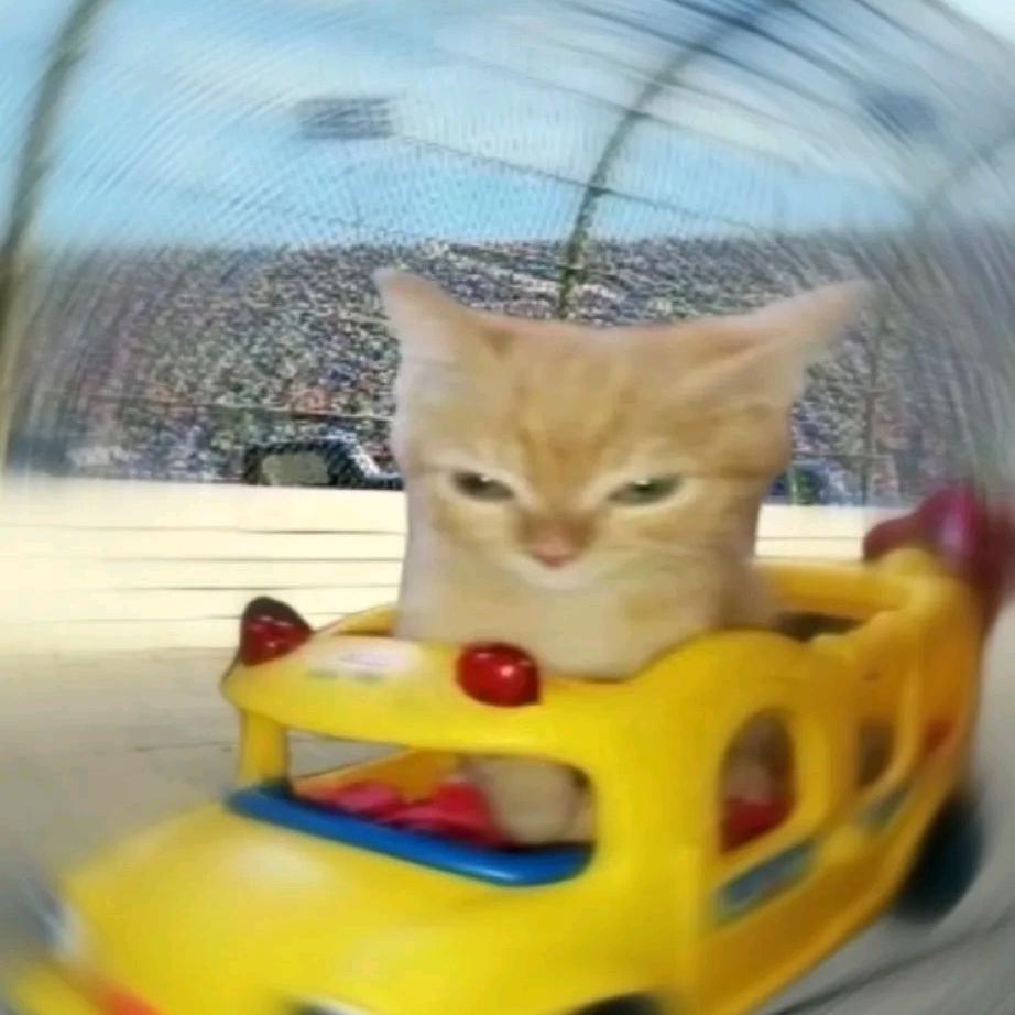 卡丁崽的入职日记