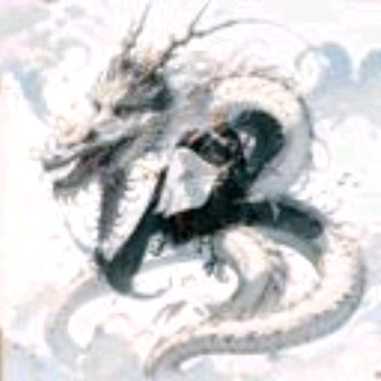 新一族（一根筋）