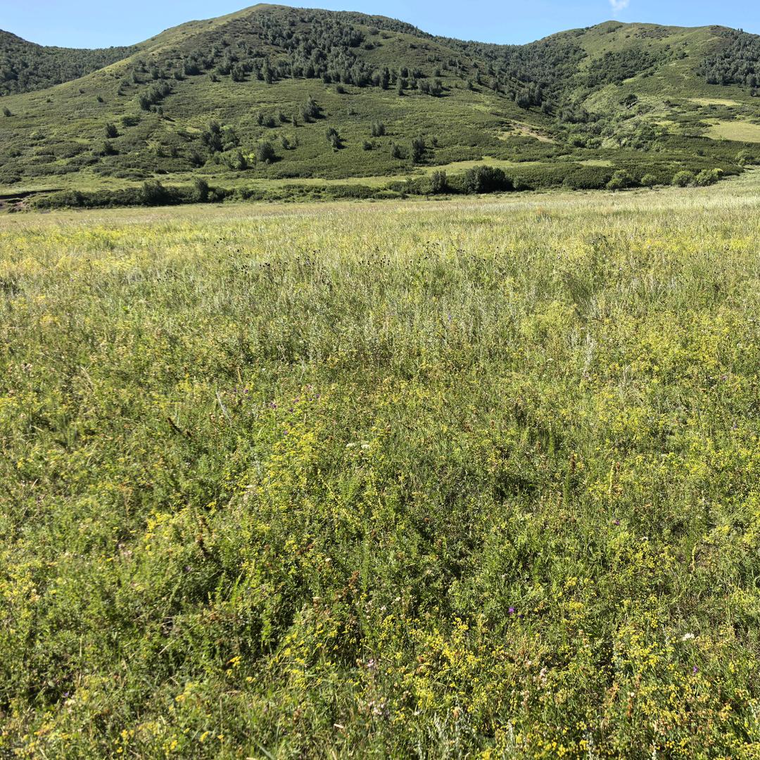 舍得者天地不弃，即得者无愧于心