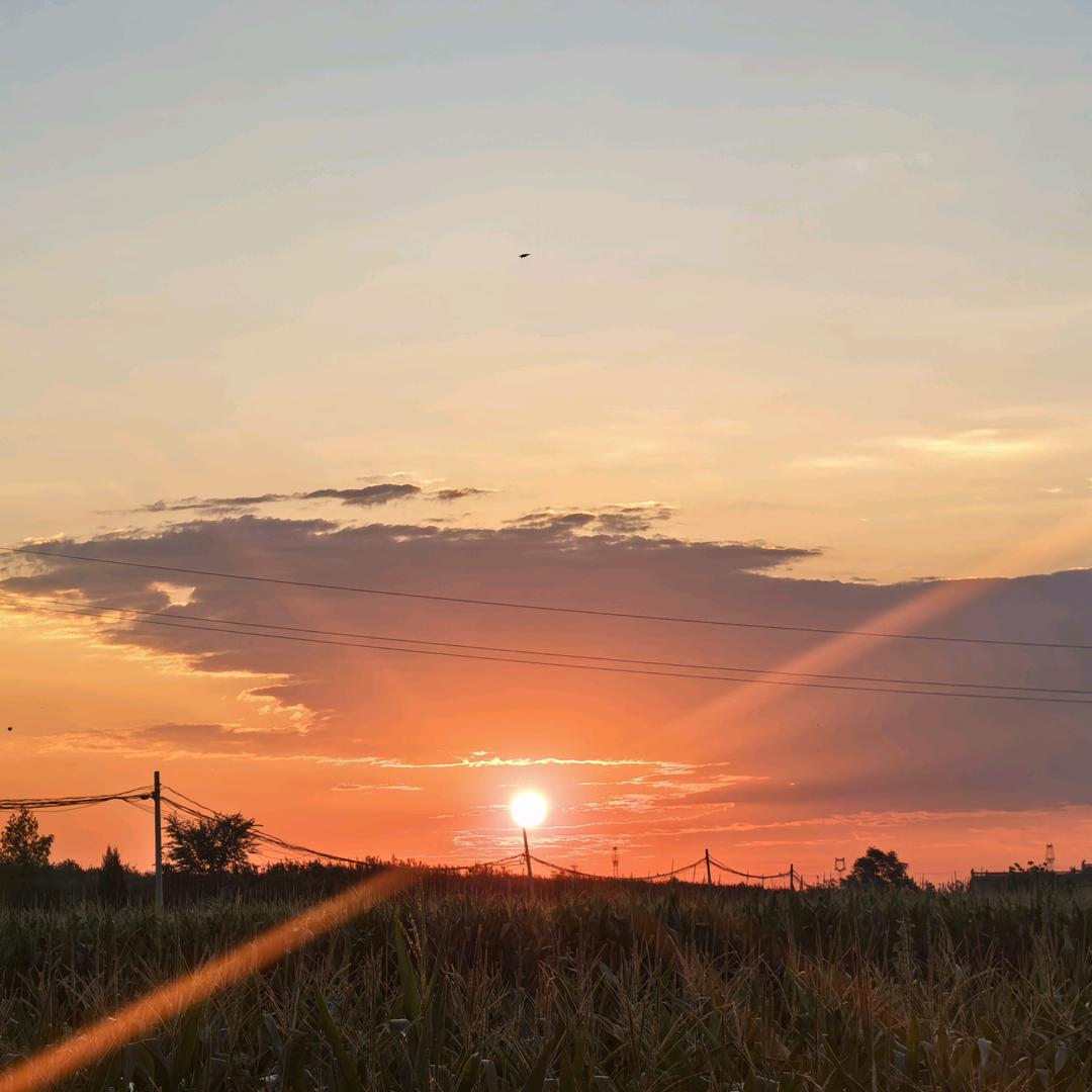骑行🚴路上的小短腿