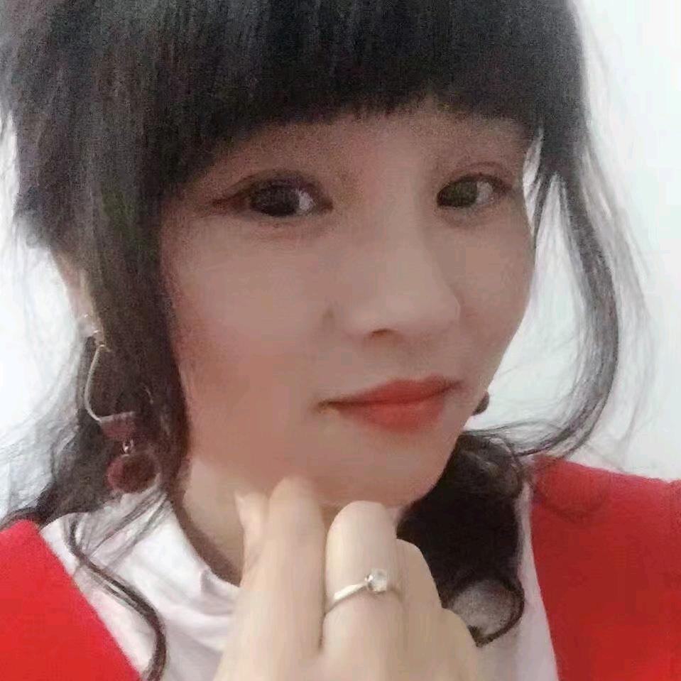 燕子往苏飞