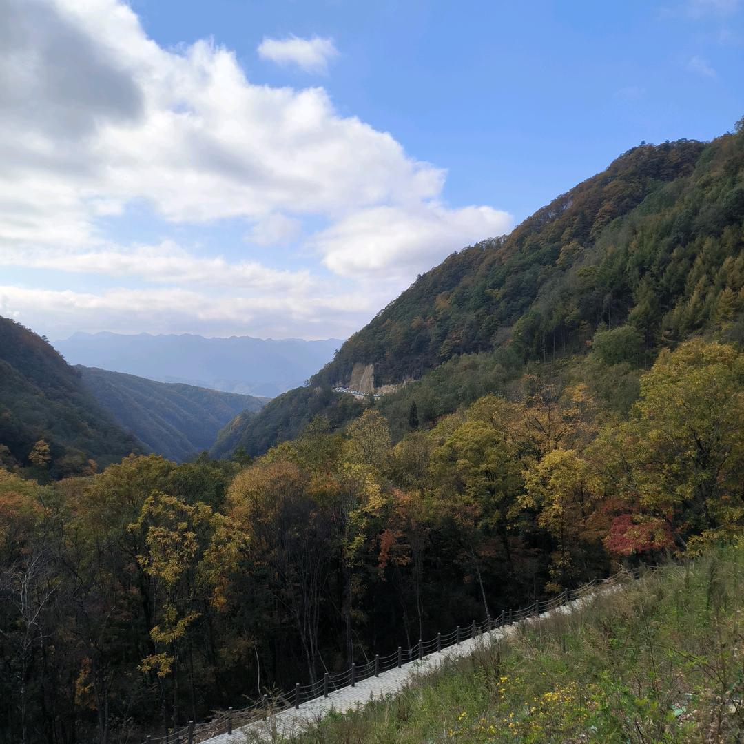 众达～宝贝回家