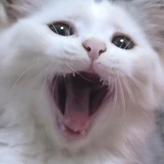 ^困了就睡^𝙯ᙆ