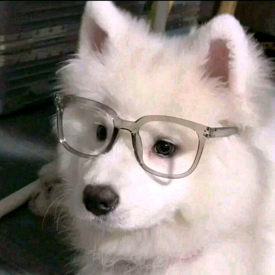 三秒破绽（三角洲行动）