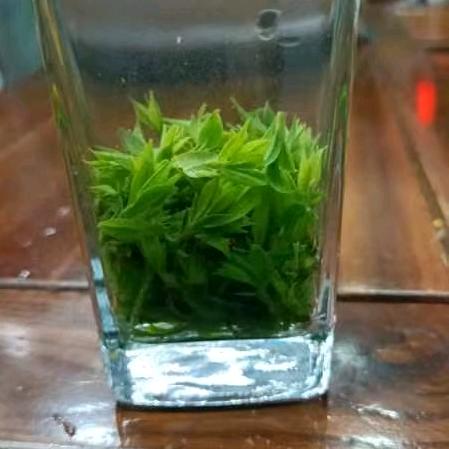 文明老头不文明