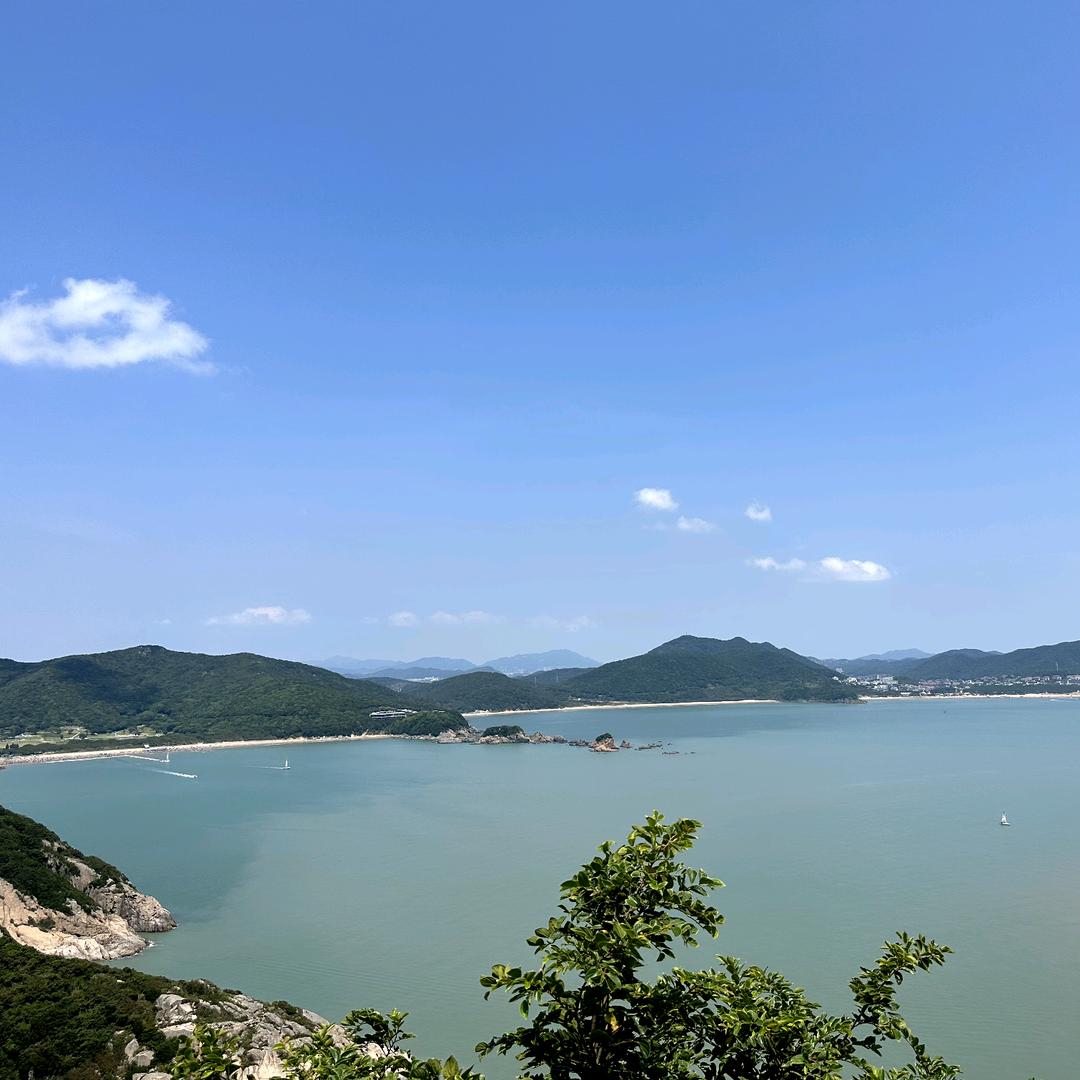 拼搏